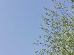 -池奈·日式咖喱蛋包饭(老城根Gpark店)