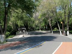 -长春市南湖公园