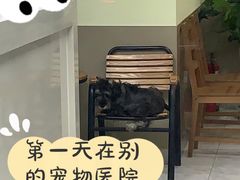 -思宇宠物医院