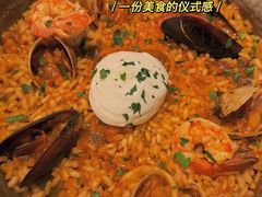 -Apollo·西班牙小酒馆(安福路店)