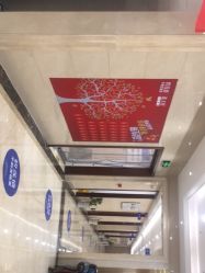 -碧莲盛·不剃发植发