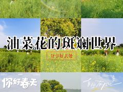 -光明小镇欢乐田园