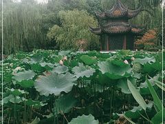 -墅园