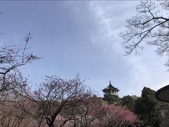 -无锡梅园公园