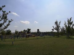 -上海长兴岛郊野公园