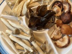 菌菇拼盘-红鼎坊·老成都火锅(新南门店)