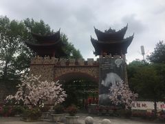 -木兰云雾山