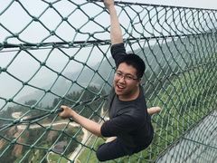 -梦幻奥陶纪景区