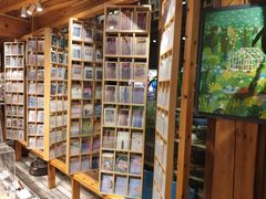 -猫的天空之城概念书店(丽江古城饮玉巷店)