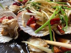 -鲁前海沿儿