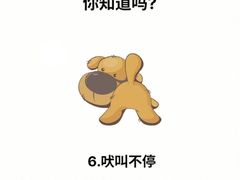 -美联众合动物医院·24h转诊中心