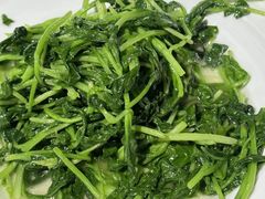 蒜蓉鸡毛菜-金枝玉叶上海人家食府(三里河店)