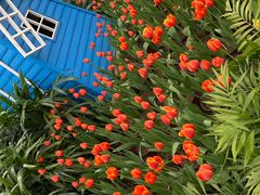 -南宫五洲植物乐园