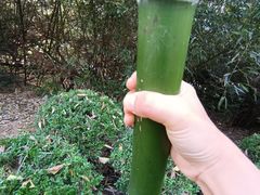 -大连植物园