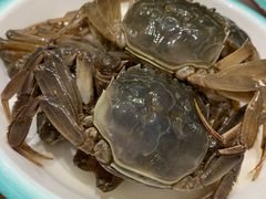 醉蟹-上海老饭店(北京分店)