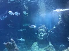 -暹罗海洋世界