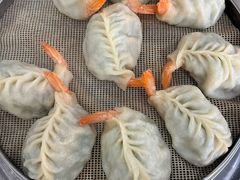 -小叶大馅饺子城