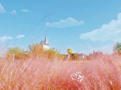 -花博汇(知音花月夜)