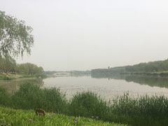-北京麋鹿生态实验中心