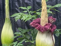 -北京植物园-展览温室