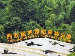 -西双版纳原始森林公园