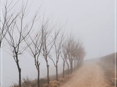 -东白山