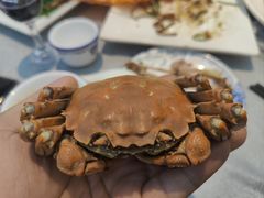 -皮记海鲜1995(寮步店)