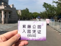 -嘉定紫藤园