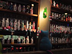 -猫咪博物馆(顶澳仔猫街店)