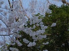 -十里琅珰