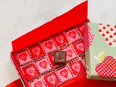 -Gucci(北京金融街购物中心店)