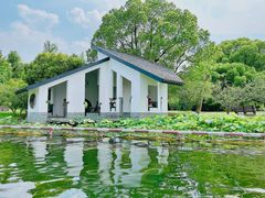 -上海共青森林公园