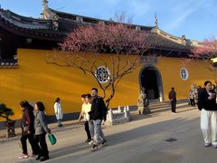 -无锡梅园公园