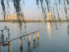 -金银湖国家城市湿地公园