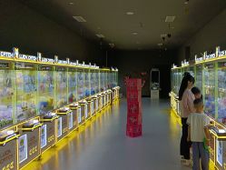 -第五极儿童乐园