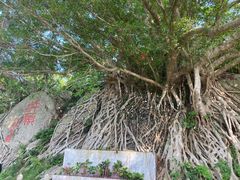 -放鸡岛生态旅游国际度假区