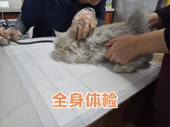 -美联众合动物医院·伴可分院·内科中心医院