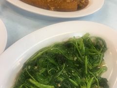 豆腐-ZF Seafood Restaurant 卓峰海鲜餐