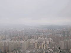 -长虫山生态公园风景林