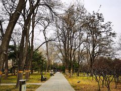 -玲珑塔公园