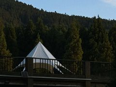 -武陵山森林公园