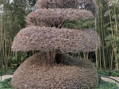 -苏州河梦清园环保主题公园