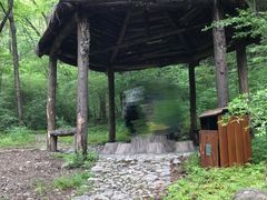 -牛背梁国家森林公园