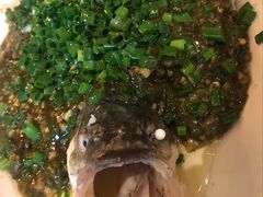 烧椒鲈鱼-尘香•传统川菜(创汇首座店)