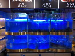 -蛙一刀·麻椒鱼火锅(金仙桥店)
