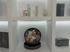 -L.C FLORA花予你(城西银泰城店)