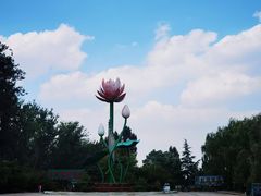 -滕州微山湖红荷湿地景区