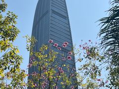-荔枝公园(福田区)