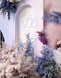 -明典婚礼策划·婚车租赁·婚纱摄影