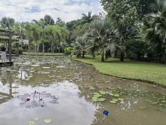 -中国科学院西双版纳热带植物园